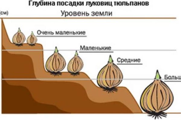 Кракен маркет даркнет тор