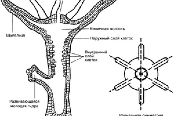 Кракен рабочий сайт